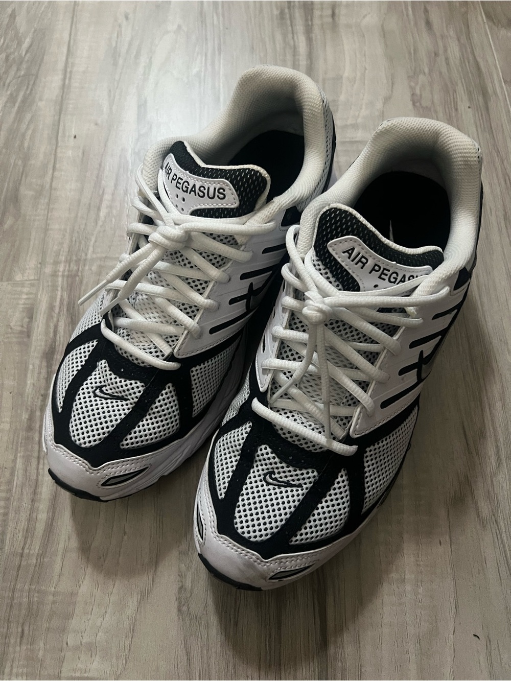 Nike Air Pegasus 2005 size 10